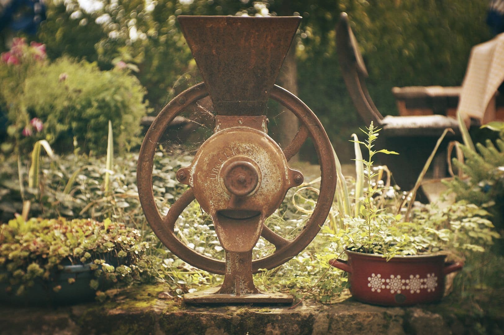 Nečekej, jednej! Smysl života versus minulý život